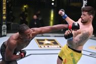 Jamahal Hill (left) is one of the best prospects in the UFC at 205lbs